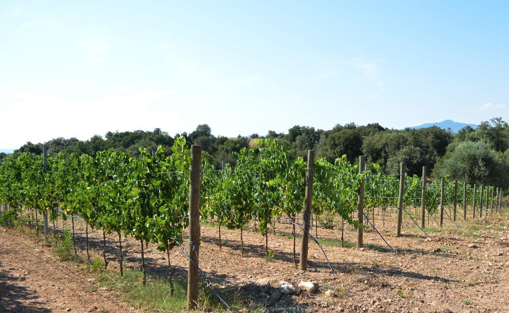 Tenuta Di Maro Sticciano Extérieur photo